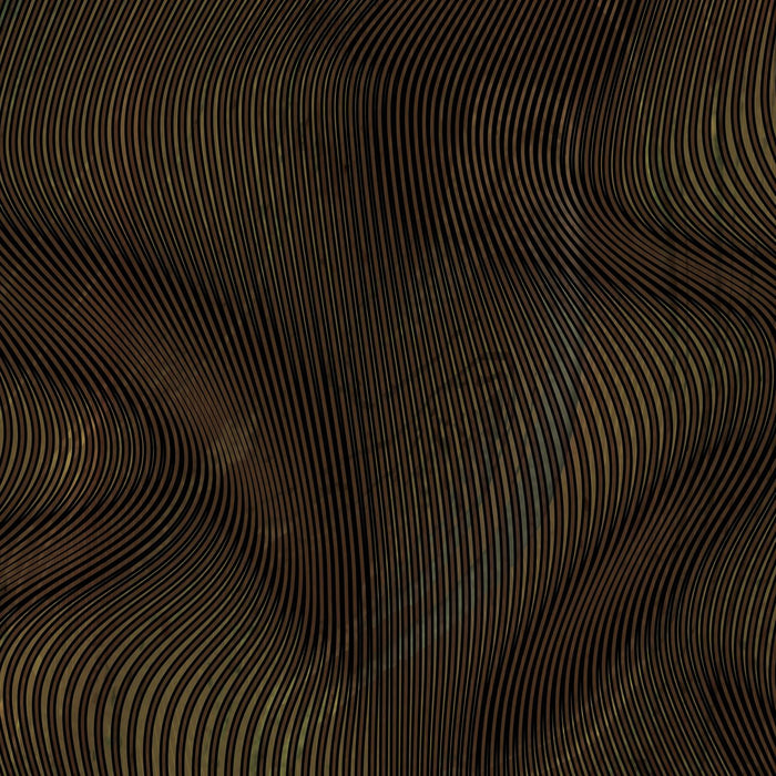 Pantalones de neopreno Alga Hombre 3mm Marrón L Seac 1-162-L