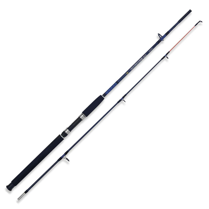 Varilla Caspian Pro 250g 1,50m Lineaeffe 2240315