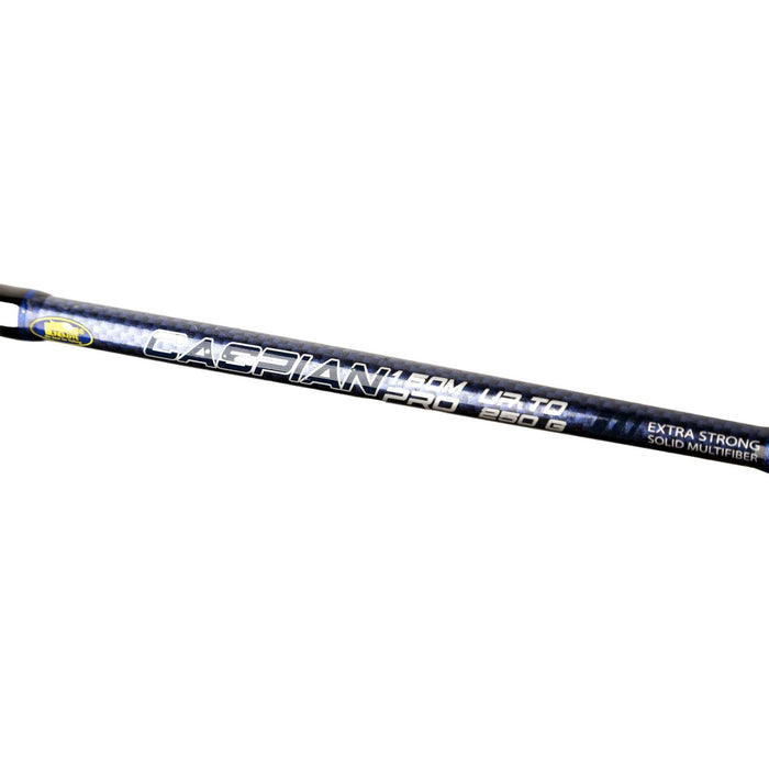 Varilla Caspian Pro 250g 1,50m Lineaeffe 2240315