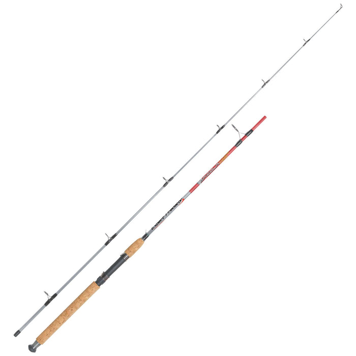 Caño de Spinning Spigola 5-15g 2,2m Expert Predator 67024