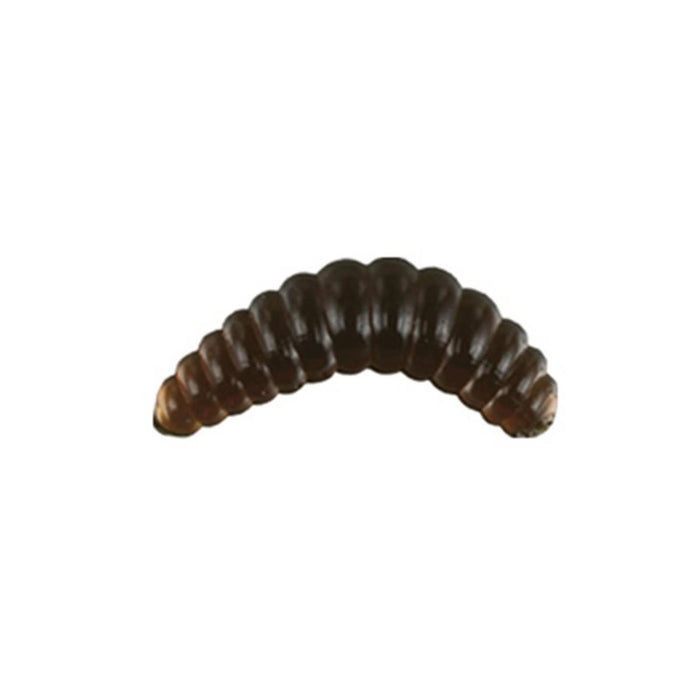 Señuelo Maggot Gusano Noche 2cm 0,35g Nomura NM78005302