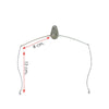Rig Listo Pre-enlazado para Comb Fish 50g Expert Predator 19030