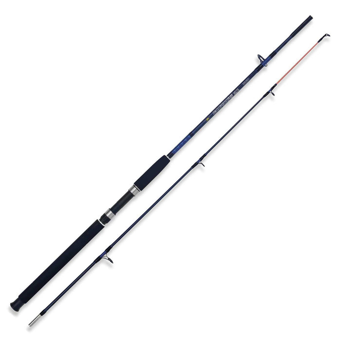 Varilla Caspian Pro 250g 2,40m Lineaeffe 2240324