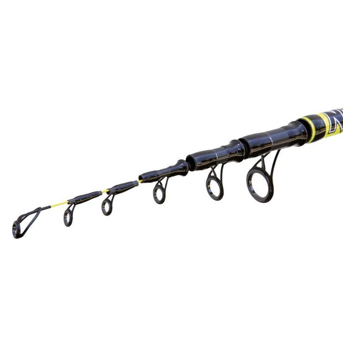Caña Beach Queen 100g 4,20m Lineaeffe 2248542