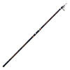 Caña Personal Caster Wtg 200g 4,20m Lineaeffe 2270142