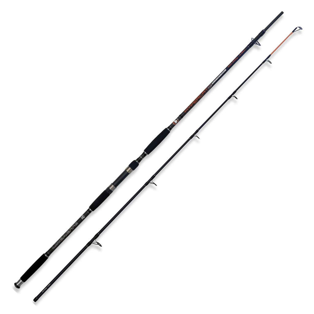 Caña Hypercat 300-500g 2,55m Lineaeffe 2312025