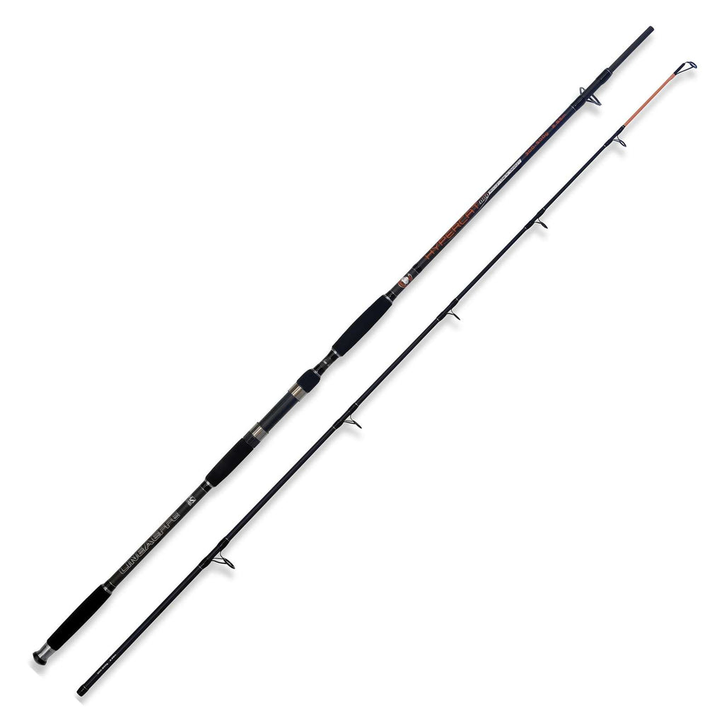 Caña Hypercat 300-500g 2,85m Lineaeffe 2312028