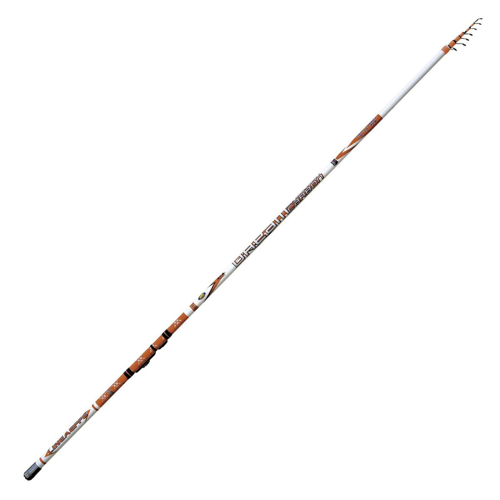 Caña Dream Carbon Evolution Bolo 5m Lineaeffe 2516805