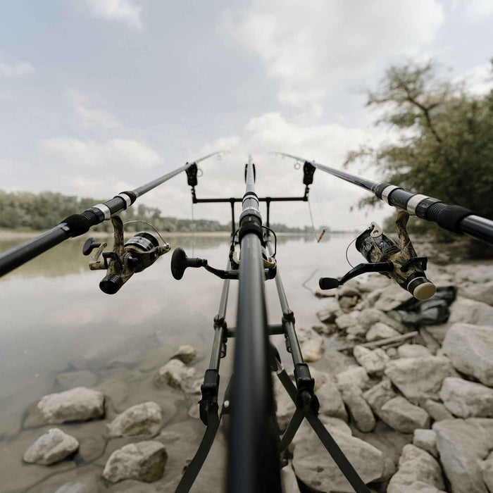 Caña Carp Seeker 3,60m Lineaeffe 2741936