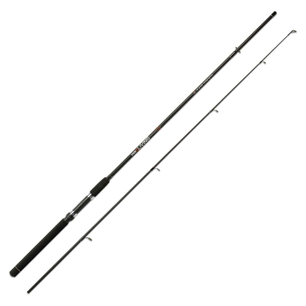Caña Vigor Living 30g 2,40m Lineaeffe 2826024