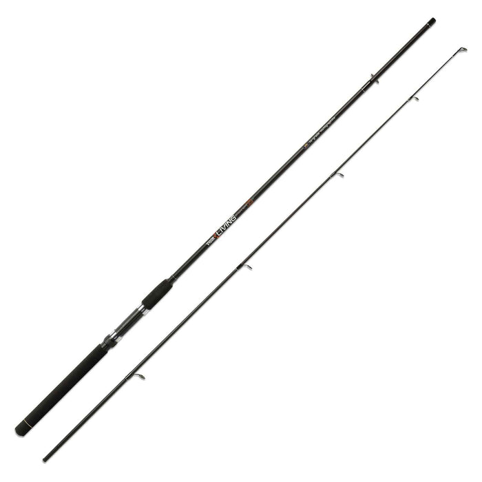 Caña Vigor Living 30g 2,40m Lineaeffe 2826024