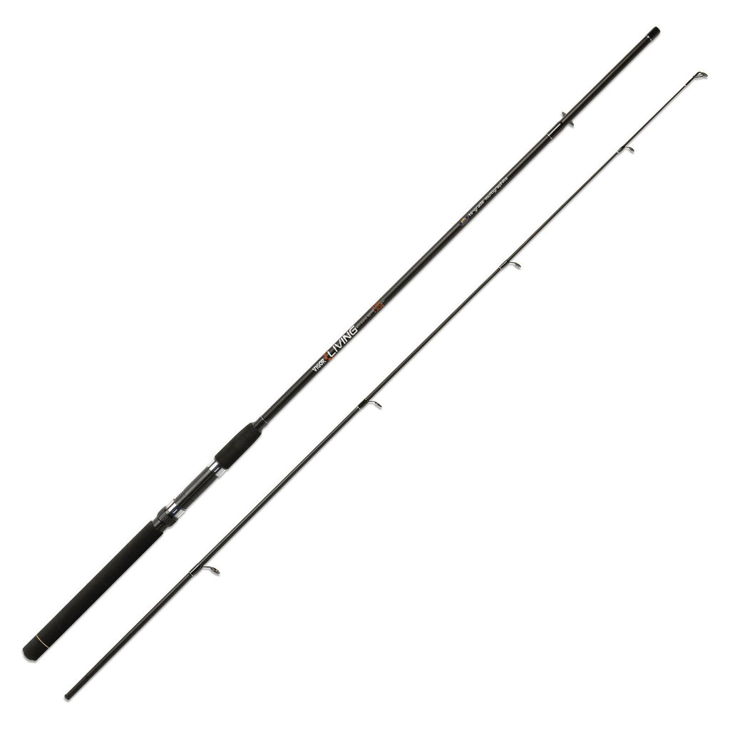 Caña Vigor Living 60g 2,40m Lineaeffe 2826124