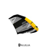 Wing Foil Wing Evolution Oro Blanco Tamaño 3.0 RRD 29EVOLUGOL_05_3_0