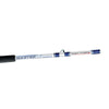 Caña de barco de agua salada Master 100-180g 1,8m Expert Predator 31548