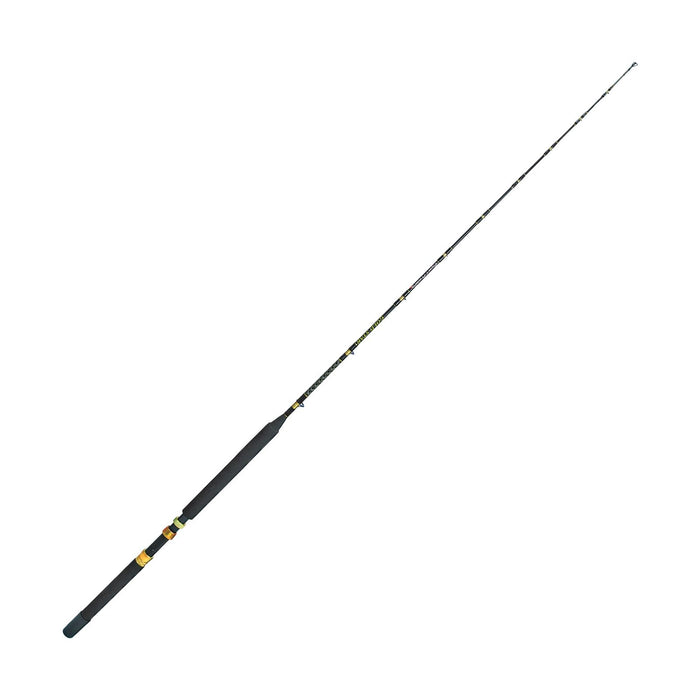 Caña de trolling de agua salada Gold Star 1,65m Expert Predator 31565
