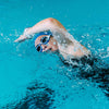 Gafas de natación Predator Azules-Blancas Lentes Tinted-Humo Pequeñas Zoggs 461037BLWHTSMS
