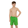 Bañador Penrith 15'' Niño Verde Talla L Zoggs 463475GNL