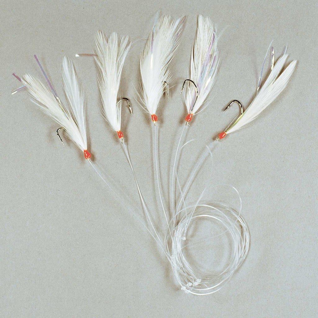 Rig de Pesca 5 Ganchos Y Pluma Blanca Tamaño 1-0 Lineaeffe 5642400