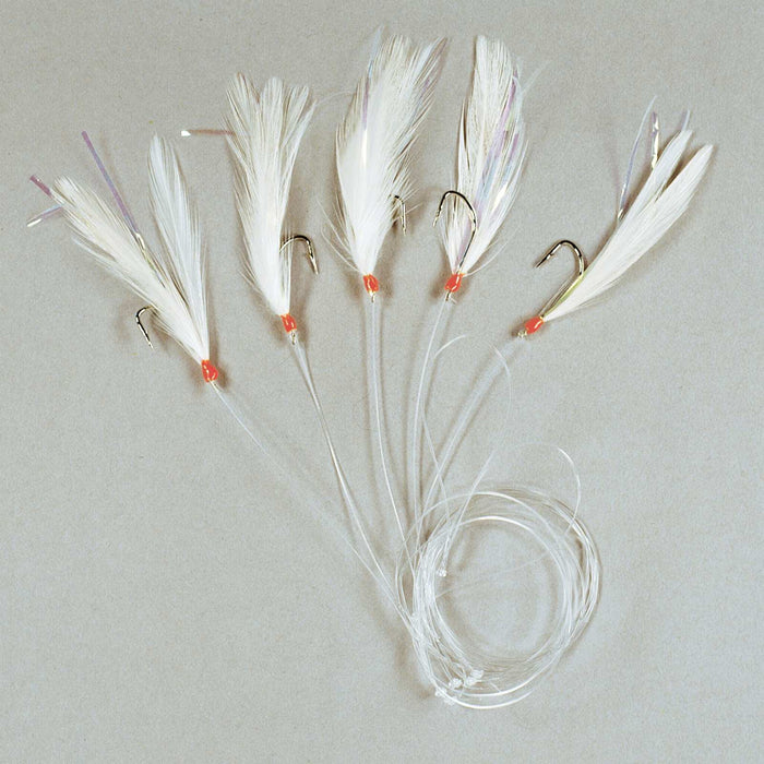 Rig de Pesca 5 Ganchos Y Pluma Blanca Tamaño 1-0 Lineaeffe 5642400