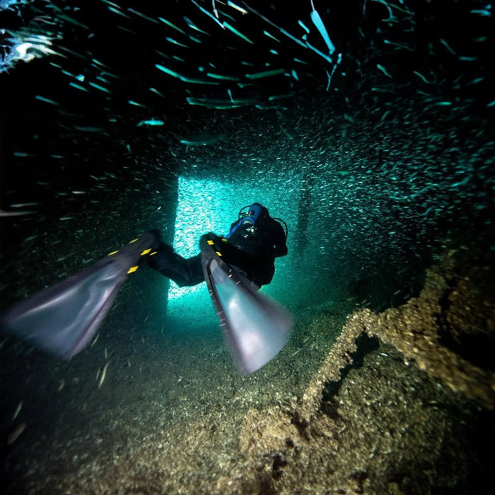 Folding Fins