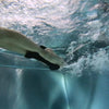 Pullbuoy para Nadar Alas de Natación Negro Seabike 8533705