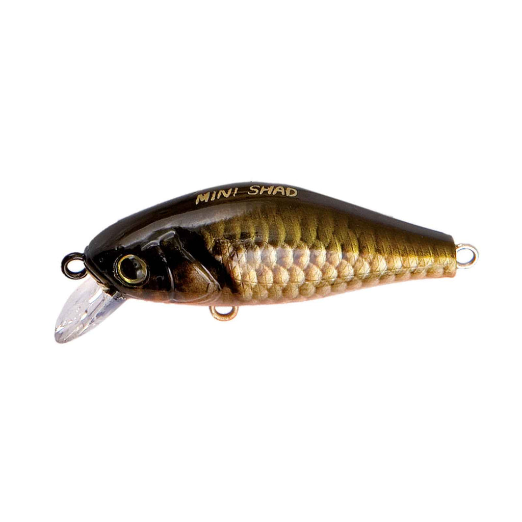 Cebo Izumi Carpa Real 45mm 4,3g Nomura NM47051604